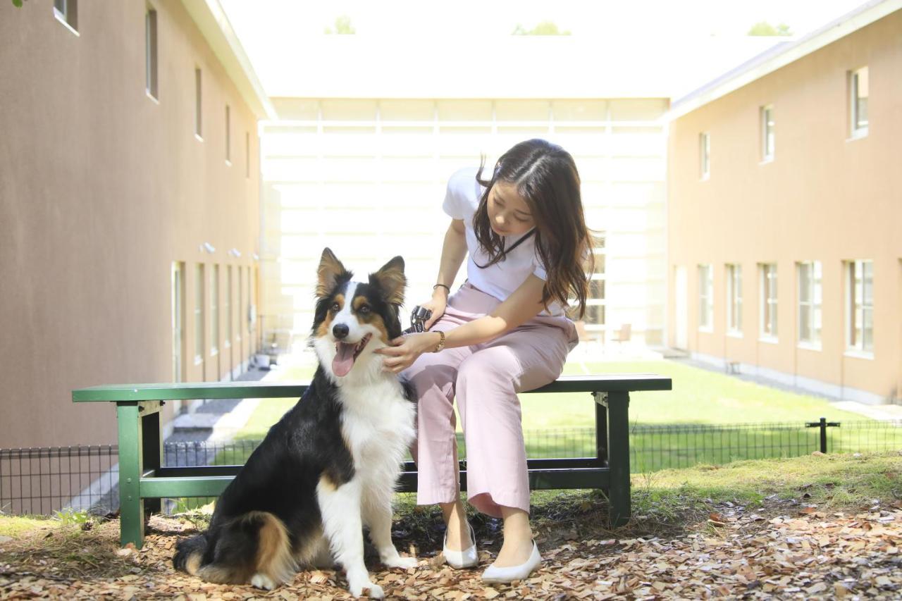 ゆとりろ蓼科ホテル with DOGS 茅野市 エクステリア 写真