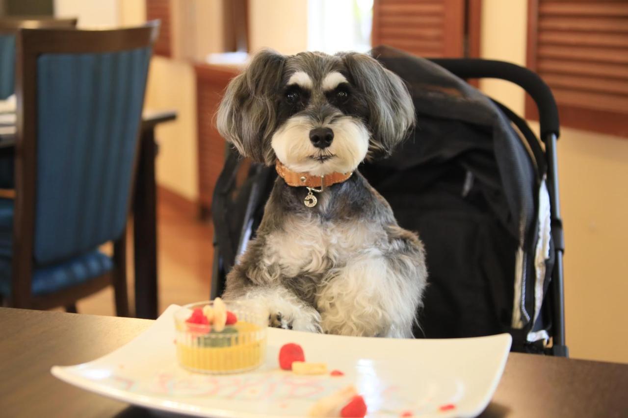 ゆとりろ蓼科ホテル with DOGS 茅野市 エクステリア 写真